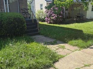 Bush Trimming by Papillon Keeler for Brea R. in Farrell, PA