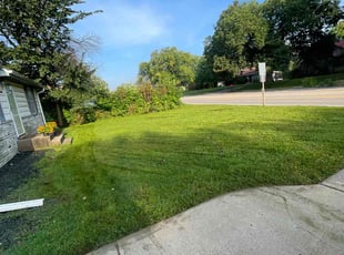 Ahmed M.'s Lawn Mowing service result