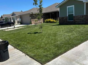 Ann B.'s Lawn Service service result