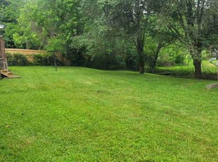 Linda H.'s Yard Cutting service result