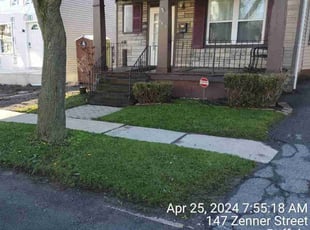 Romina P.'s Lawn Service service result