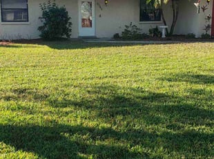 Jusup S.'s Lawn Service service result