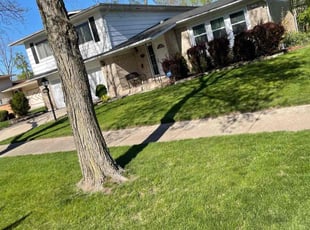 David E.'s Lawn Mowing service result