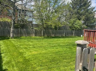 Soraya V.'s Grass Cutting service result