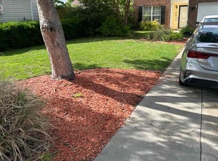 Jonny N.'s Lawn Mowing service result