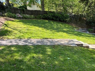 Laura P.'s Lawn Mowing Service service result