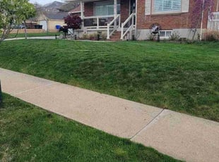 Ryan D.'s Lawn Service service result