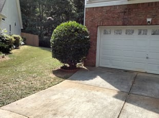 Bush Trimming by Amanda Harris for Christian M. in Lawrenceville, GA