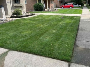 Kenan L.'s Grass Cutting service result