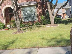 Bruce P.'s Lawn Mowing service result