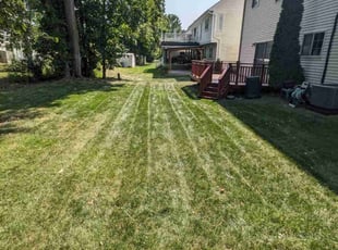 Bryan R.'s Lawn Service service result