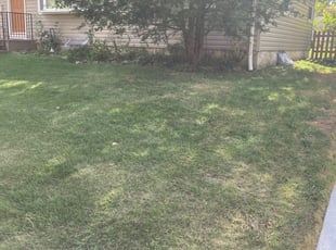Cleanups by John Bell for Adrienne G. in Rockville, MD