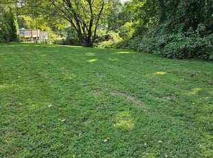 Juan A.'s Lawn Maintenance service result