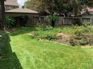 Phillip M.'s Yard Cutting service result