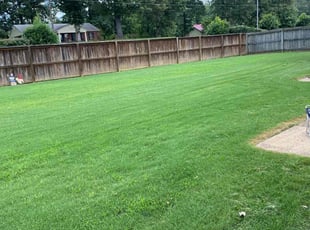 Kerri S.'s Lawn Mowing service result