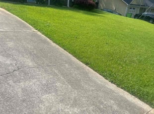 Cody K.'s Yard Cutting service result