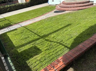 Yonghao M.'s Lawn Mowing service result
