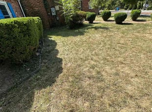 Bush Trimming by Fidel Rodriguez for Liz A. in Alexandria, VA