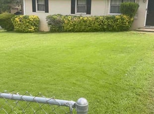 Caitlin E.'s Lawn Mowing service result