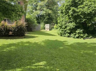 Angela B.'s Lawn Mowing service result