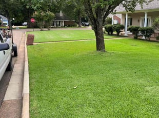 Jenai W.'s Lawn Care service result