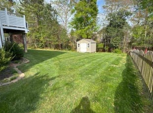 Aracelio N.'s Grass Cutting service result