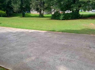 Skylier C.'s Lawn Mowing service result