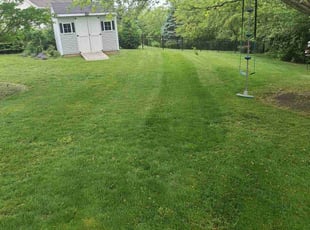 Sandra C.'s Lawn Mowing Service service result