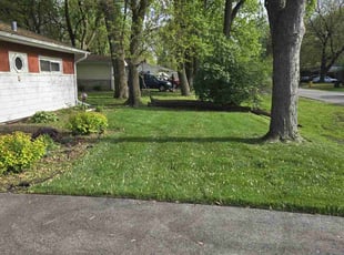 Thomas G.'s Lawn Service service result