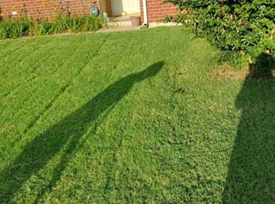 Weeding by Ronald Rhodes for Heather C. in Oklahoma City, OK