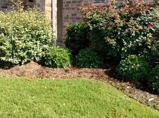 Weeding by John Brown for Leslie T. in McKinney, TX