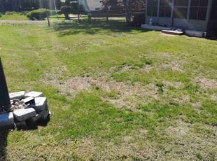 Betty P.'s Yard Cutting service result