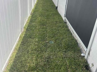 Landscaping by Shaun Waters for megan w. in st augustine, fl