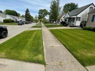Diane K.'s Lawn Maintenance service result