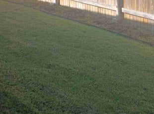 Weeding by Brent Tanksley for Niesha W. in Jarrell, TX