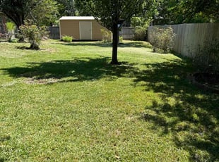 Micheal A.'s Yard Cutting service result