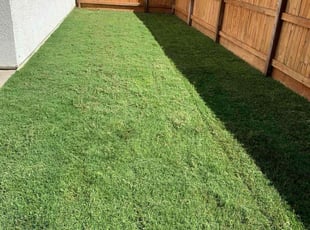 Jade S.'s Lawn Mowing Service service result