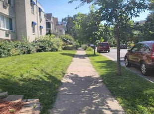 Mary W.'s Lawn Service service result