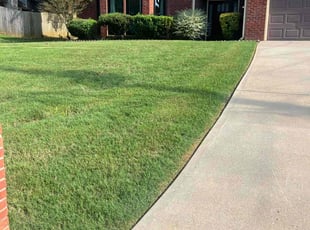 Debbie L.'s Lawn Care service result