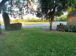 Bush Trimming by Neal Elkins for Linda A. in Kansas City, MO