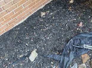 Weeding by Luiz Gosling De Oliveira for Raymond H. in Rockville, MD