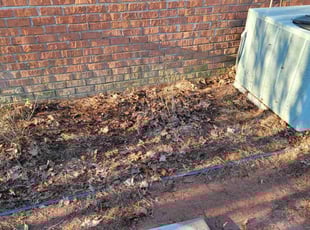Leaf Removal by Douglas McClelland for Alysia R. in Birmingham, AL