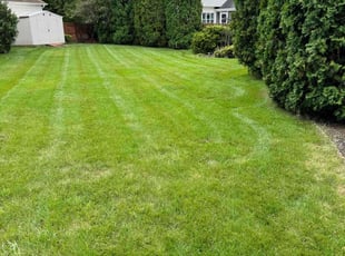 Artamease G.'s Lawn Mowing Service service result