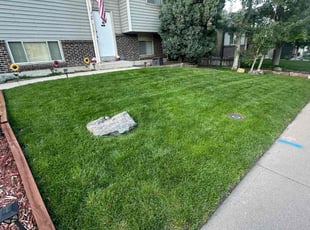 Lela B.'s Grass Cutting service result