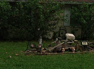 Bush Trimming by Louis Reele for Danielle S. in Brandon, FL