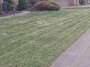 Bush Trimming by Robert Pittman for James B. in Columbus, OH