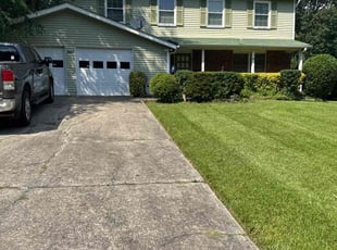 Bush Trimming by Vitaliy Brylev for Michael A. in Charlotte, NC