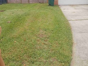 Neal W.'s Yard Cutting service result