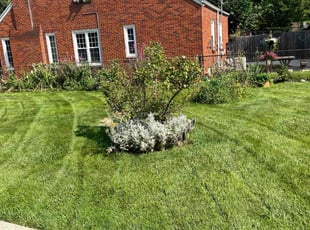Davon B.'s Lawn Care service result