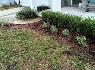 Enrique C.'s Flower Bed Weeding service result